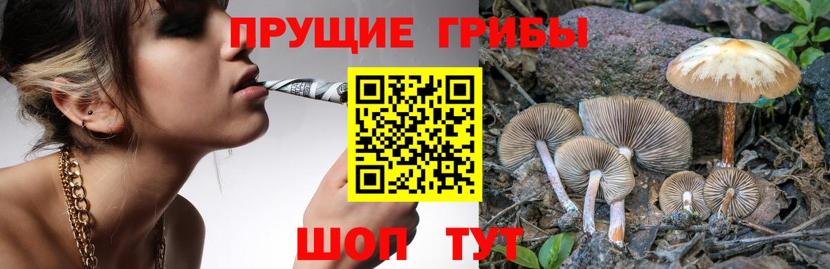 Северск  Псилоцибиновые грибы MAGIC MUSHROOMS  Псилоцибиновые грибы прущие грибы  Вход с VPN 